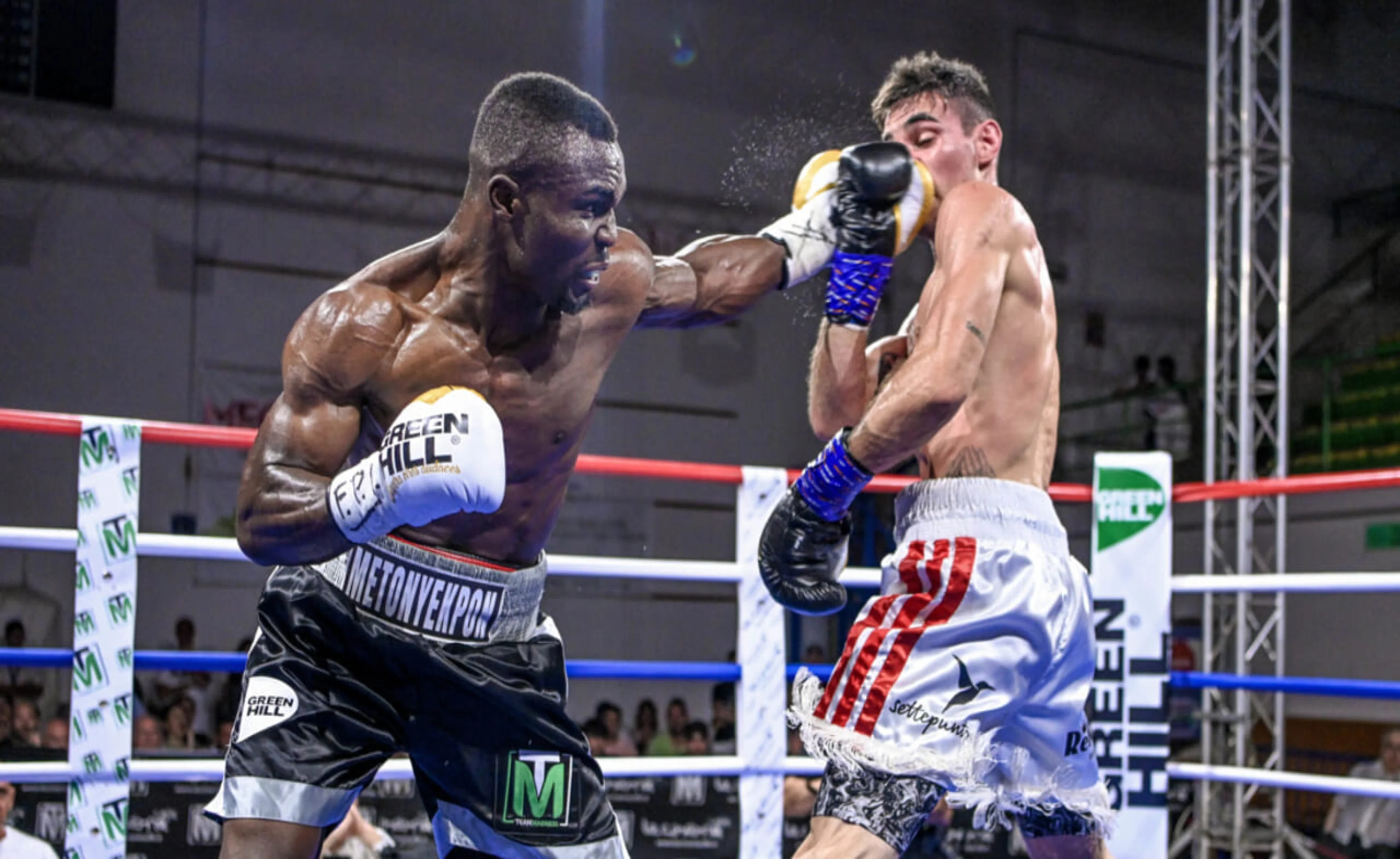 Domina il Ring e il Tatami